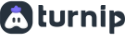 Turnip logo