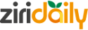 Ziridaily logo